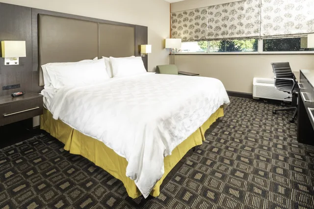 غرفة قياسية بسرير كينج، Holiday Inn Louisville East - Hurstbourne 4/6
