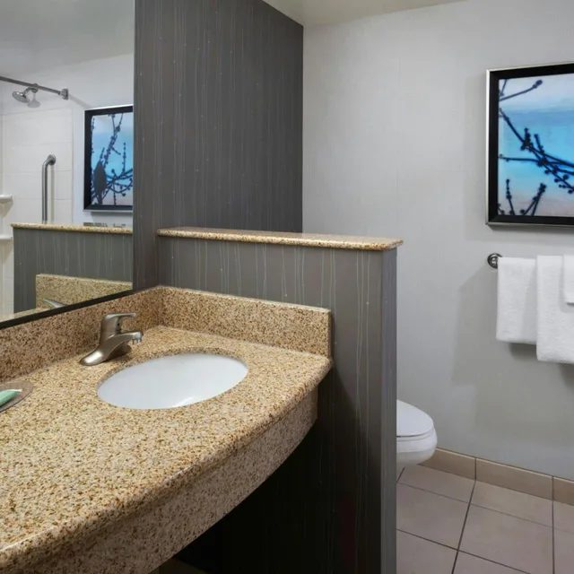 Pure, Wellness, Guest Room, King Bed, Lake View, Sofa، Courtyard By Marriott Gaithersburg Washingtonian Center 4/6