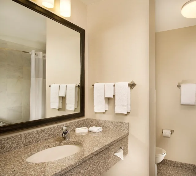 غرفة بسرير كينج لذوي الإعاقة، Drury Inn Suites Mt Vernon 5/6