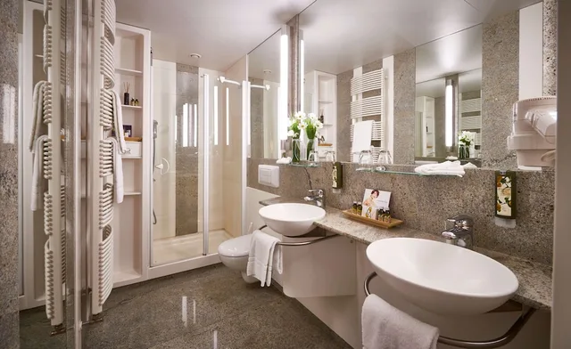 غرفة بريميوم كلاسيكية بسرير مزدوج، HOTEL THERME BAD TEINACH 3/3