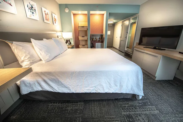 غرفة بسرير مزدوج لذوي الإعاقة، Hilton Garden Inn Asheville I 26 Biltmore Area 2/4