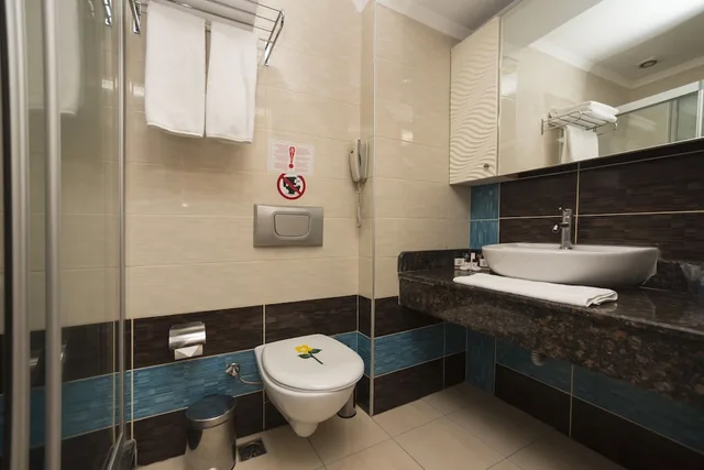 غرفة قياسية مفردة بسرير مزدوج، Tac Premier Hotel Spa 10/11