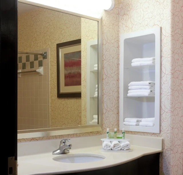 جناح بسرير كينج بغرفة نوم واحدة، Holiday Inn Express Hotel Suites Brownsville 4/5