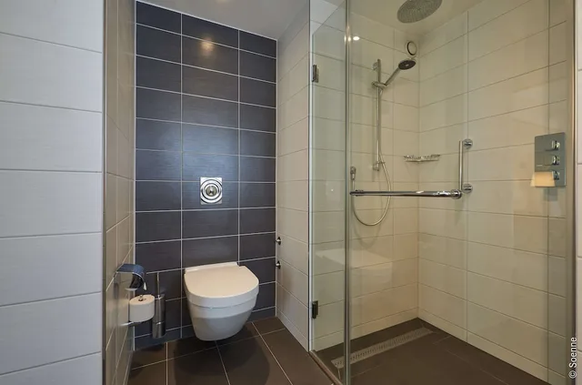 جناح بسرير كينج، Dorint Hotel Bonn 5/6