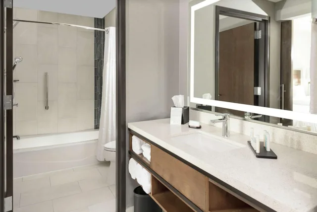 جناح استوديو بسرير كينج مع أريكة لذوي الإعاقة، Embassy Suites by Hilton Grand Rapids Downtown, MI 2/2