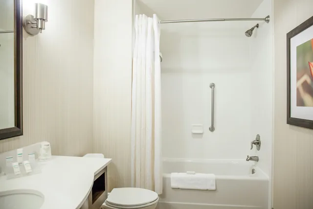 1 Bedroom, King Bed, Accessible, Hilton Garden Inn Milwaukee Downtown 2/3