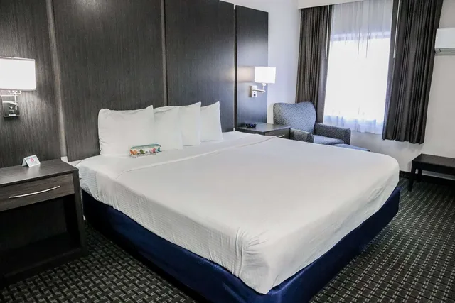غرفة كبيرة بسرير كينج مع أريكة، Best Western Ocala Park Centre 2/3