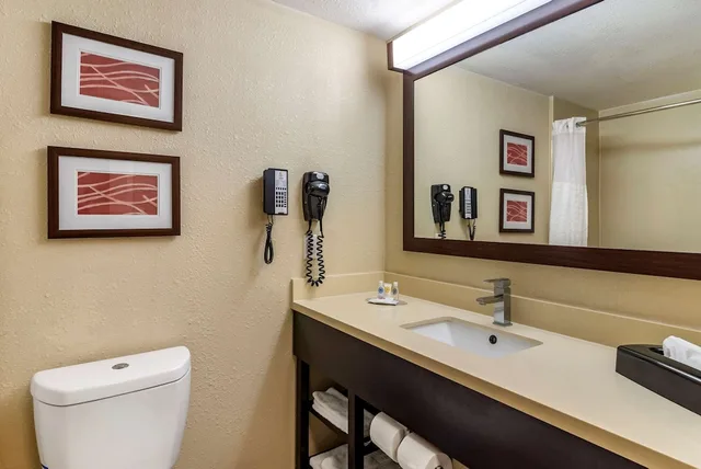 Suite, King Bed, Sofa, Accessible, Comfort Inn & Suites Near Six Flags GA 9/10