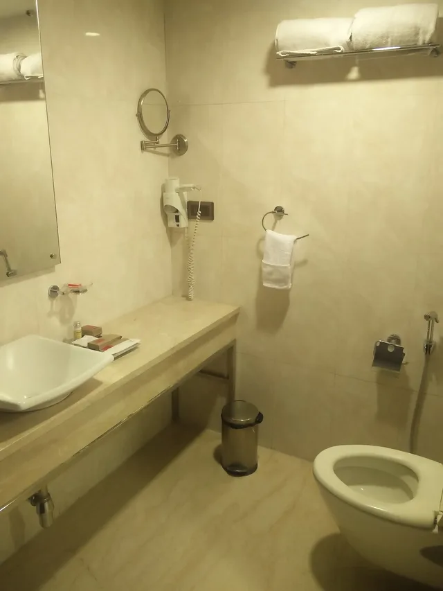 غرفة بريميير بسريرين منفصلين، Daspalla Hotel Hyderabad 8/9