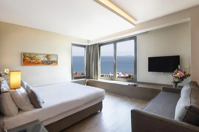 غرفة ديلوكس بسرير مزدوج بإطلالة، Hotel Arcadia Blue Istanbul 6/7
