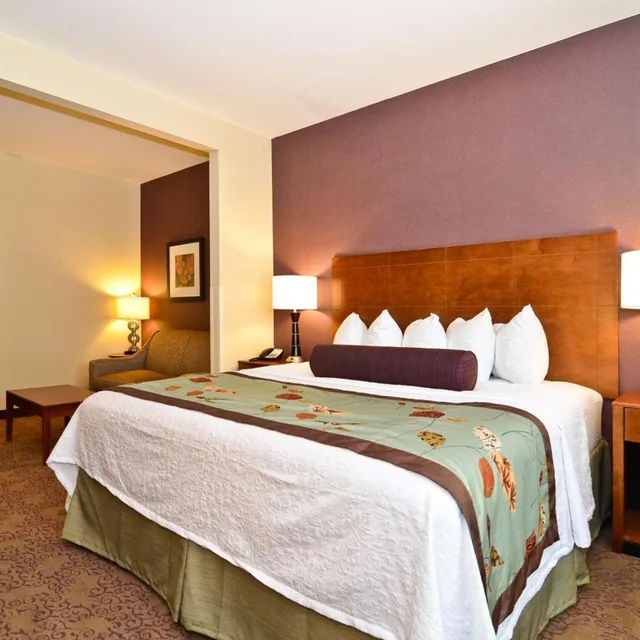 جناح بسرير كينج بغرفة نوم واحدة مع أريكة، Best Western Plus Carousel Inn & Suites 1/8