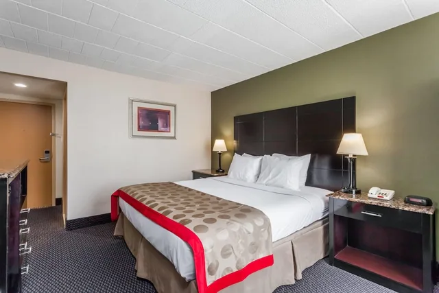 جناح ديلوكس بسرير كينج بغرفة نوم واحدة، Ramada By Wyndham Newburgh/West Point 2/3