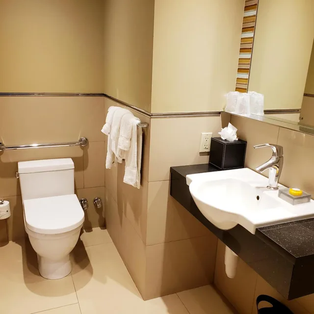 غرفة بسرير كينج لذوي الإعاقة، The Belvedere Hotel 2/5
