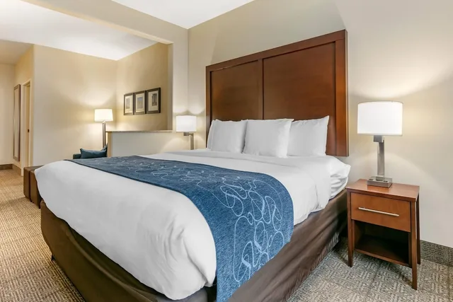 غرفة بسرير كينج لذوي الإعاقة، Comfort Suites Batesville, AR 2/3