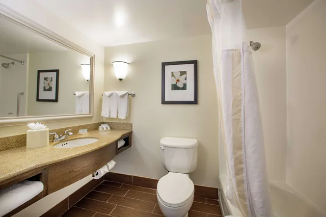 جناح استوديو بسرير كينج مع أريكة لذوي الإعاقة، Hilton Garden Inn Richmond Innsbrook 3/4