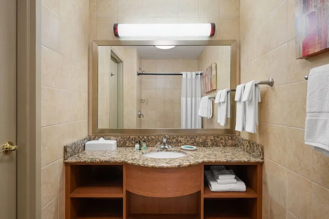 جناح بسرير كينج مع أريكة، Waterloo Suites Hotel, Trademark Collection by Wyndham 6/7