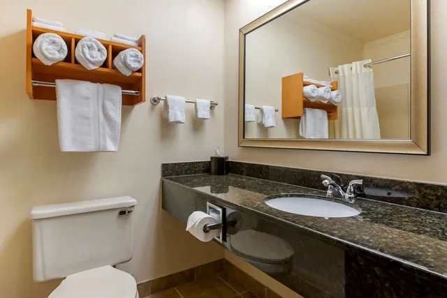 جناح بسرير كينج مع أريكة، Best Western Davison Inn 2/2