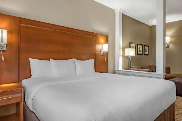 جناح بسرير كينج مع أريكة لذوي الإعاقة، Comfort Suites Hotel and Conference Center, Berlin OH 2/4