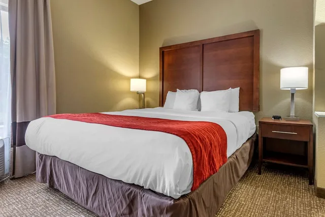 جناح بسرير كينج مع أريكة، Comfort Inn and Suites Mocksville I-40 1/2