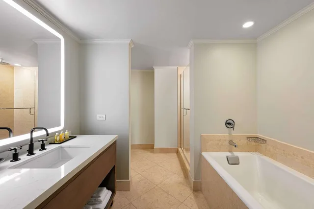 جناح جونيور بسرير كينج مع أريكة، The Royal Sonesta Chicago Downtown 3/3
