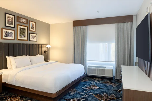 جناح استوديو بسرير كينج مع أريكة، DoubleTree by Hilton Hotel Savannah Airport 3/10