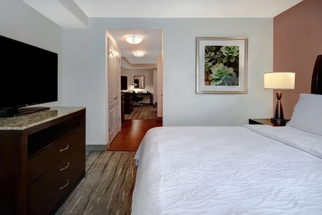 1 Bedroom, Mini, Suite, King Bed, Sofa، Hilton Garden Inn Ft Myers 1/8