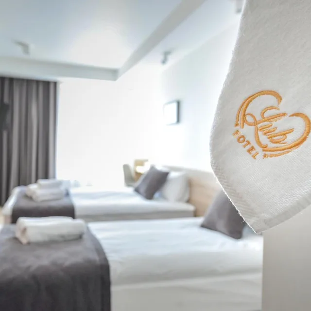 غرفة ديلوكس بسرير مزدوج، Lubhotel 4/6