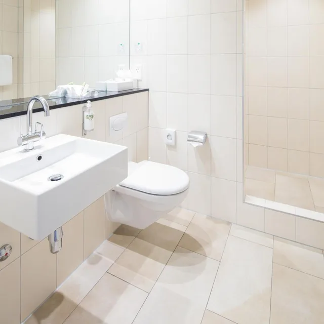 غرفة بزنس بسرير مزدوج أو سريرين منفصلين، Hotel Schweizerhof Basel 9/10