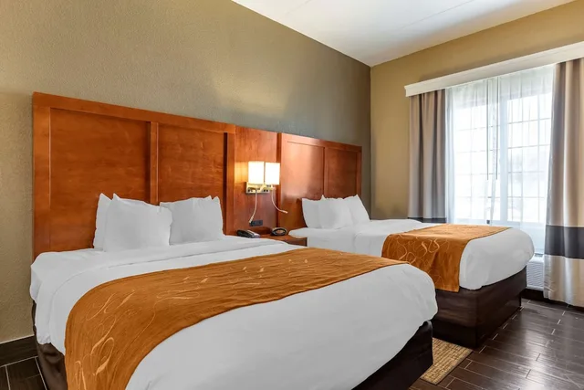 جناح بسريرين كوين، Comfort Suites Grand Rapids South 2/3