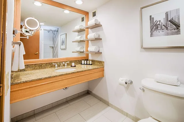جناح أساسي بسرير كينج لذوي الإعاقة، Embassy Suites by Hilton Chicago O'Hare Rosemont 3/3
