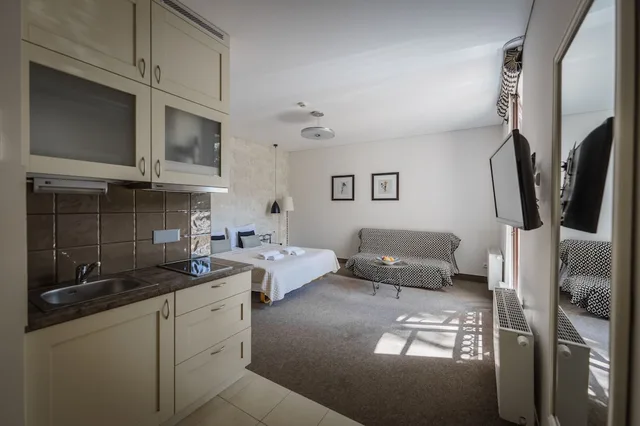 Classic, Studio, Queen Bed, Sofa, Moon Garden Art Hotel 7/7