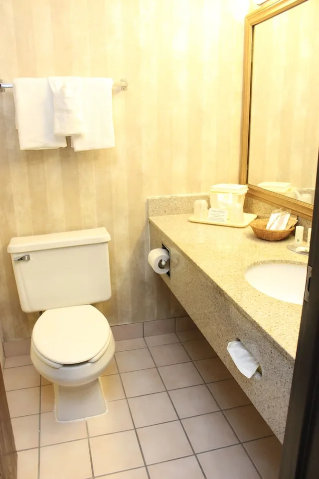 غرفة قياسية بسرير كوين، Quality Inn and Suites Detroit Metro Airport 4/5