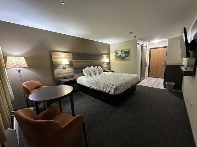 غرفة قياسية بسرير كينج بشرفة، Roosevelt Inn Mount Rushmore 2/9