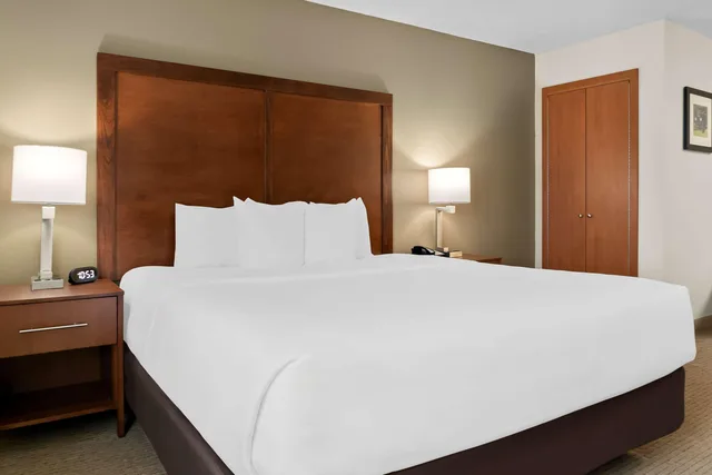 Room, King Bed, Comfort Inn & Suites Taylor - Detroit 9/10