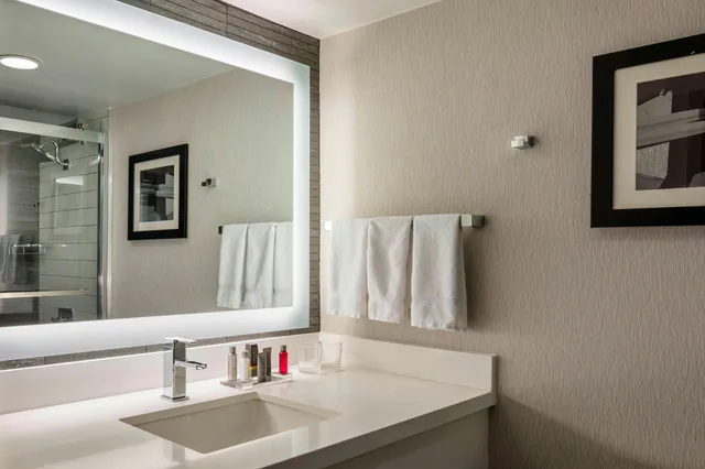 غرفة بسرير كينج، Boston Marriott Newton 3/3
