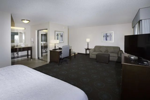 جناح استوديو بسرير كينج مع أريكة، Hampton Inn and Suites Suisun City Waterfront 1/5