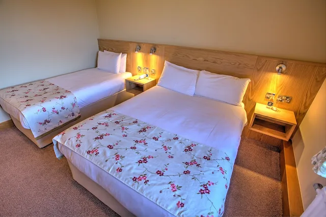 غرفة عائلية بسرير مزدوج وسريرين منفصلين، The Lucan Spa Hotel 1/4