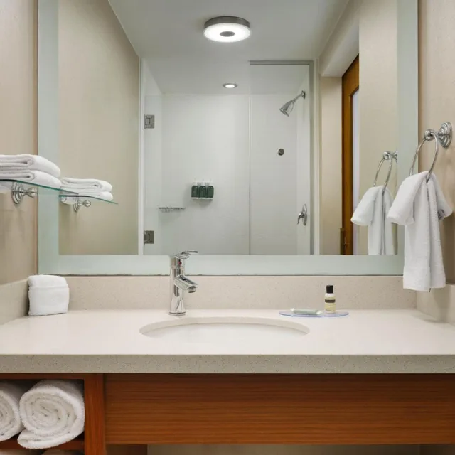 جناح بسرير كينج مع سرير سحّاب إضافي مع أريكة، Springhill Suites By Marriott Pittsburgh Mt Lebanon 4/5