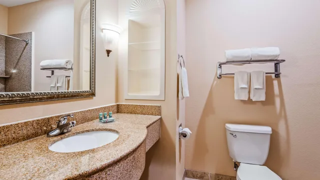 جناح بسرير كينج، Best Western South Plains Inn & Suites 3/5