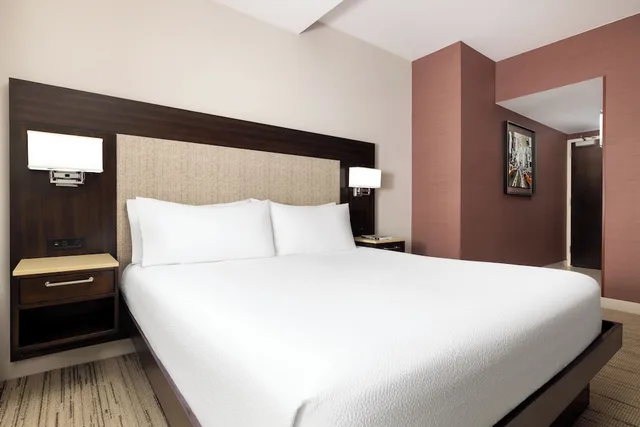 Room, King Bed, Partial Times Square View، Hilton Garden Inn New York/Times Square Central 8/10