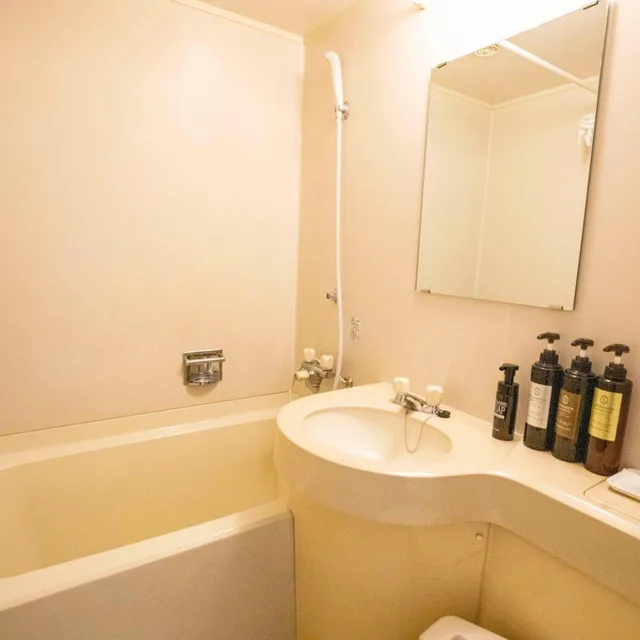 Room, Single, Court Hotel Mito 3/12