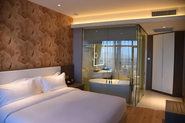 جناح تنفيذي مفرد، Ethiopian Skylight Hotel 1/1