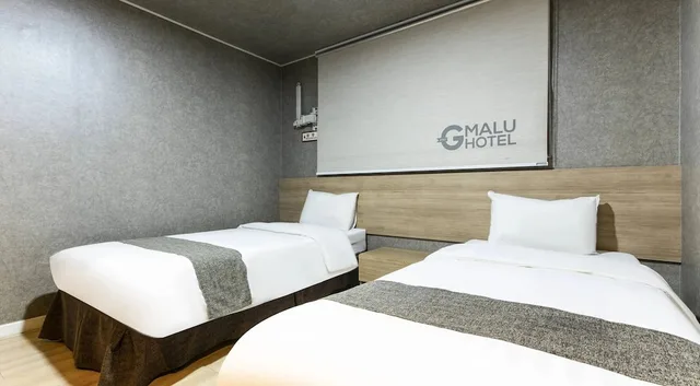 غرفة ديلوكس بسريرين منفصلين بإطلالة على المدينة، Malu Hotel 2/10