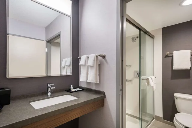 جناح بسرير كينج بغرفة نوم واحدة مع أريكة، Sonesta Select San Jose Airport 2/2