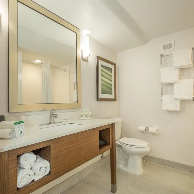 غرفة قياسية بسرير مزدوج، Holiday Inn Hotel Suites Peachtree City 3/6