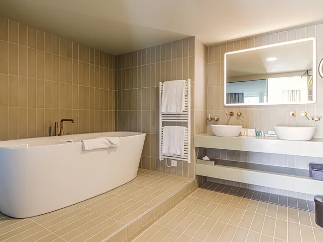جناح بسرير كينج بشرفة، Swissotel Kursaal Bern 2/4