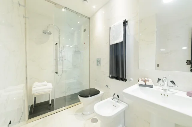 غرفة ديلوكس مفردة بسرير كينج، Roma Luxus Hotel 3/3