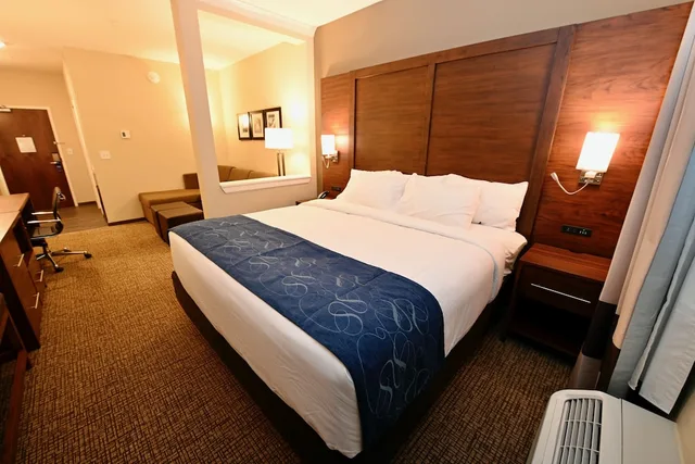 Suite, King Bed, Accessible, Comfort Suites Newnan GA 2/5