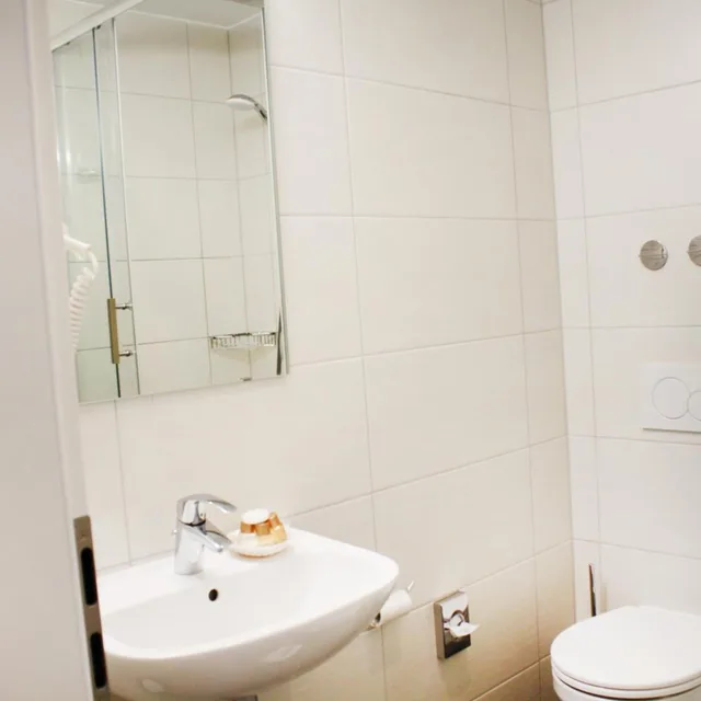 Junior Suite, Double Bed, Anor Hotel And Conference Center Frankfurt Airport 8/10