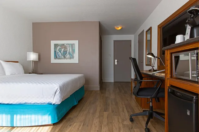 غرفة قياسية بسرير كينج، Hotel L Oiseliere Montmagny 1/8